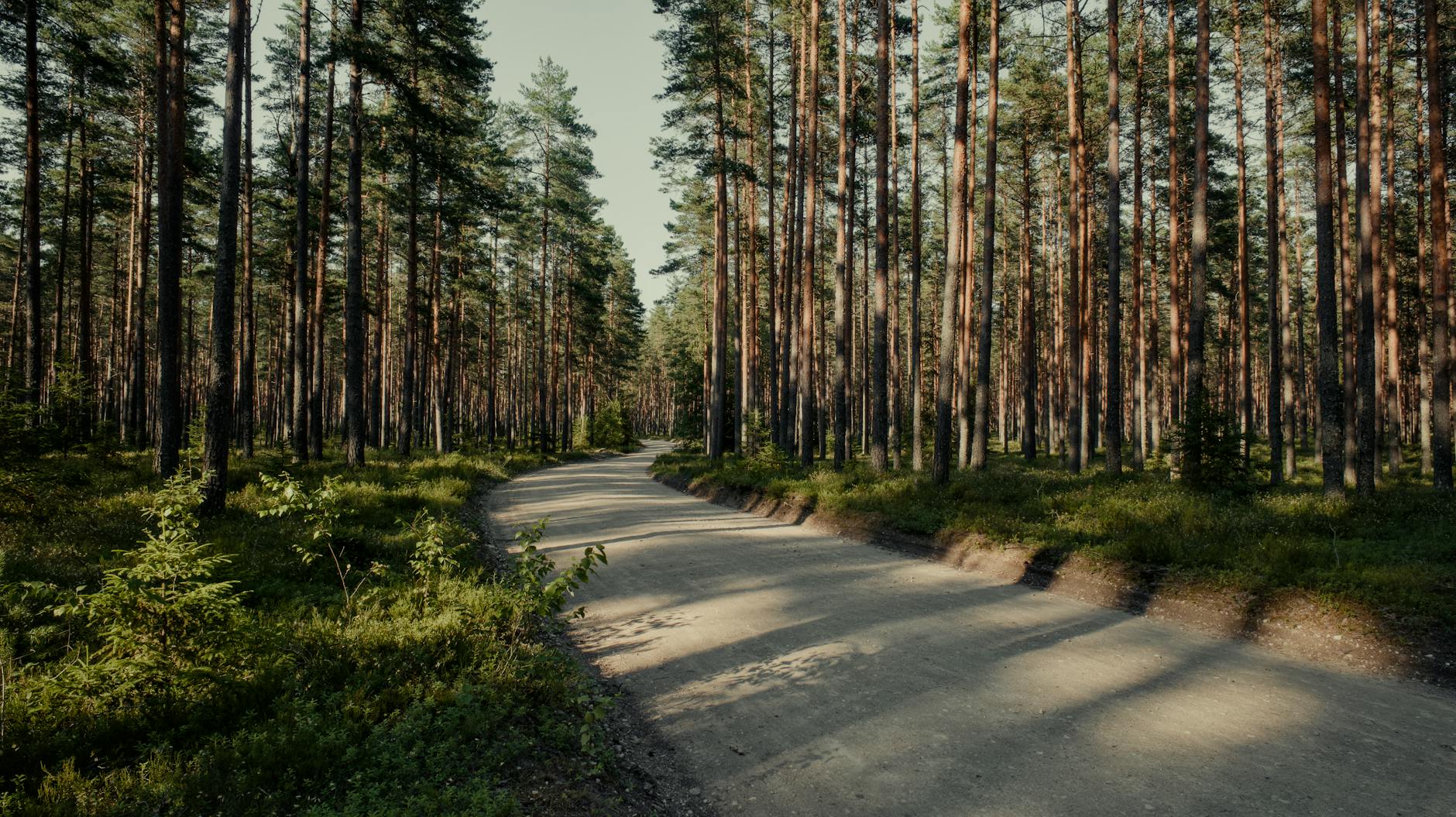 Path Dependence